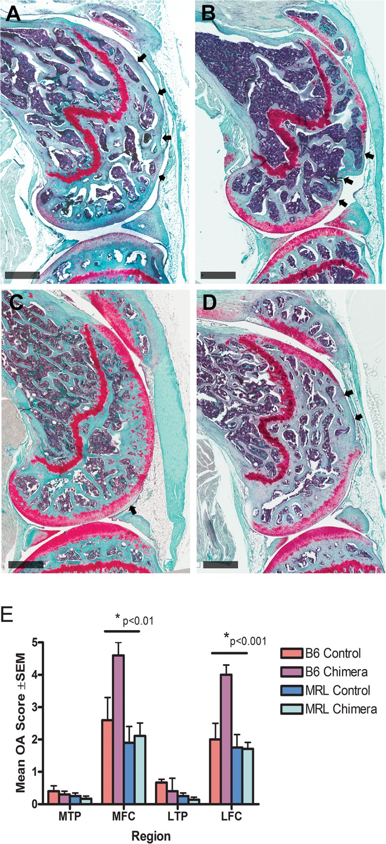 Fig 5