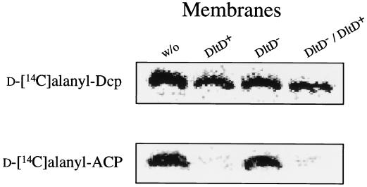 FIG. 6