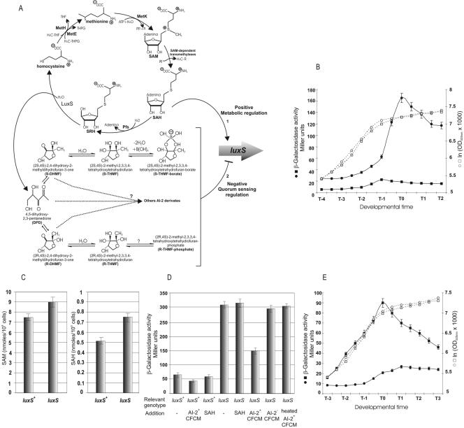 FIG. 2.