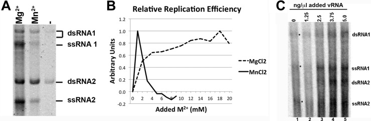 FIG 2