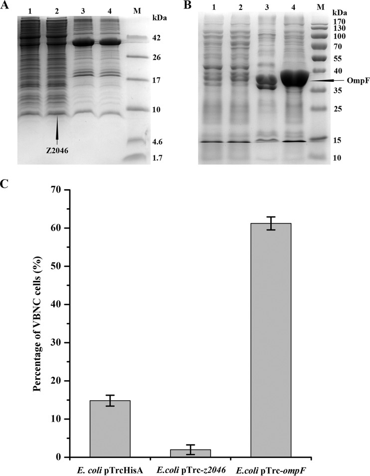 FIG 3 