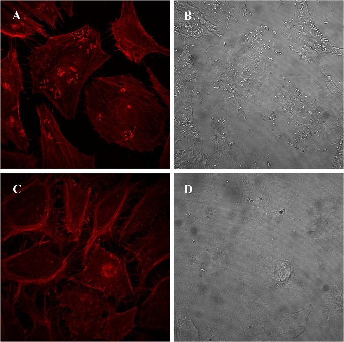 FIG 6 