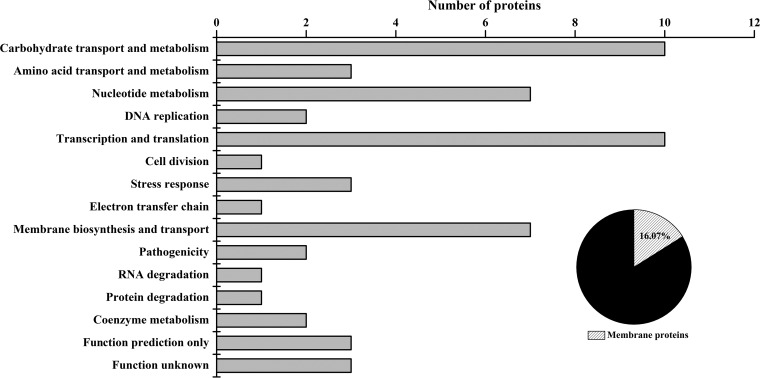 FIG 2 