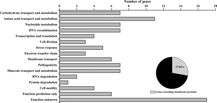 FIG 1 