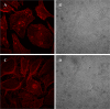 FIG 6