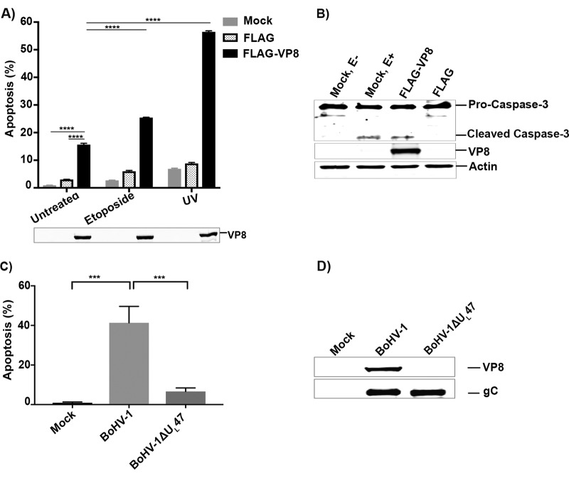 FIG 11