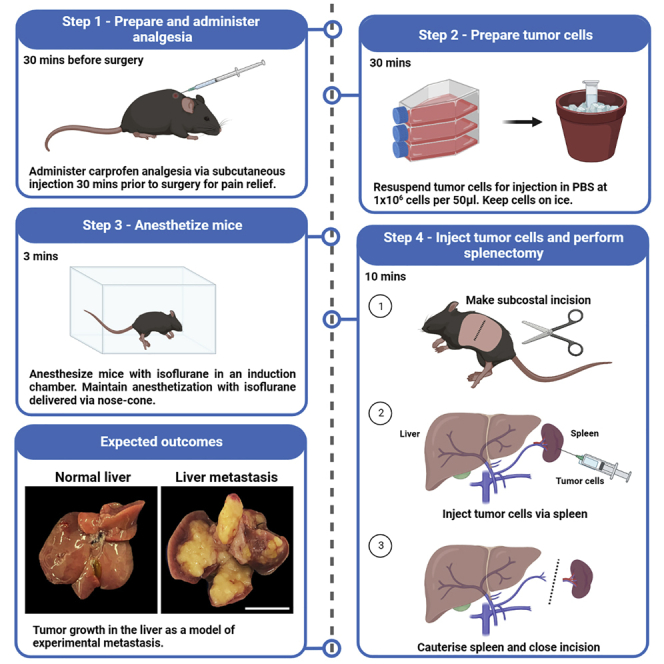 graphic file with name fx1.jpg