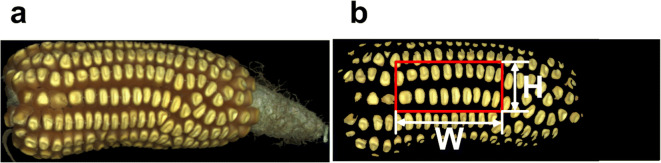 Fig. 8