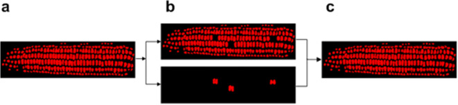 Fig. 4