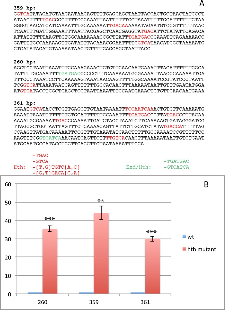 Fig 6