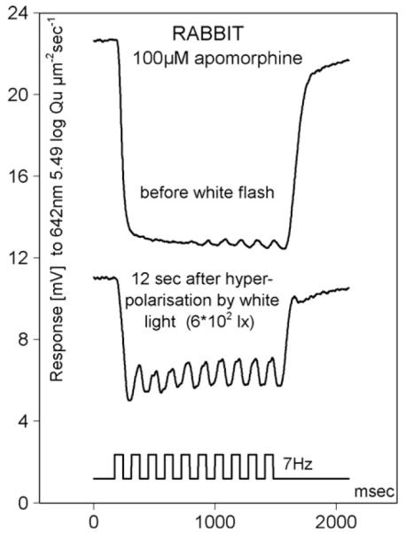 Fig. 7