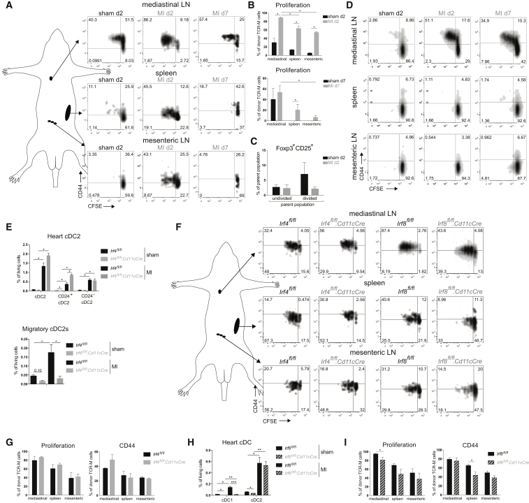 Figure 7