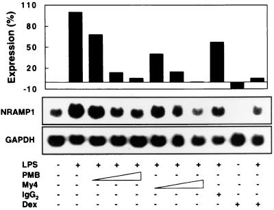 FIG. 6