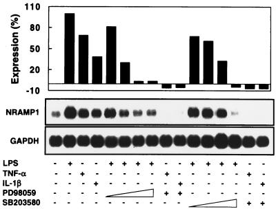 FIG. 7