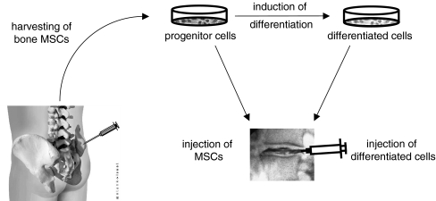 Fig. 6