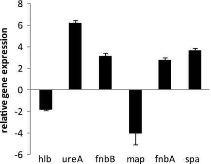 Fig. 4.