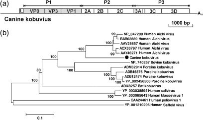 Fig. 1. 