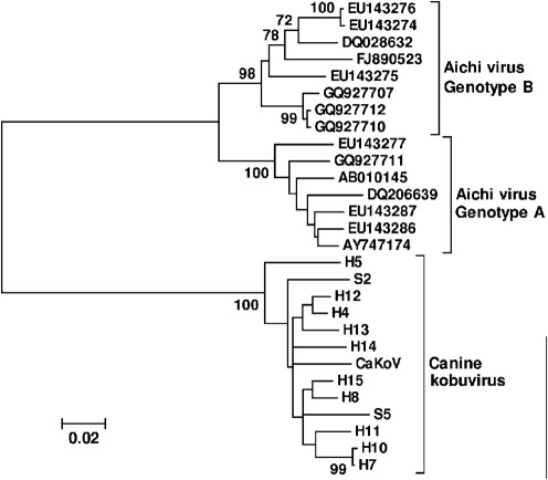 Fig. 3. 