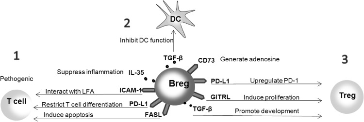 Fig. 5