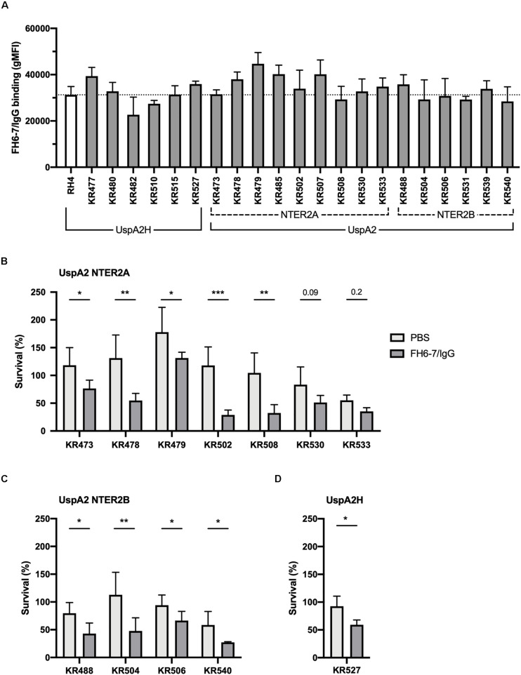 FIGURE 6