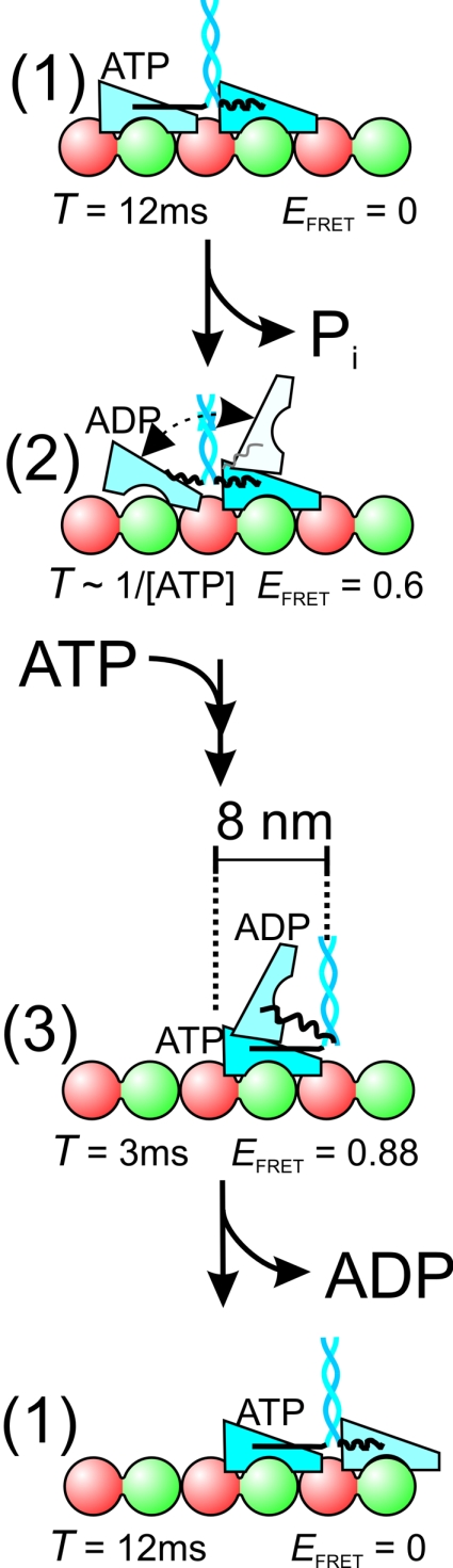 Fig. 5.