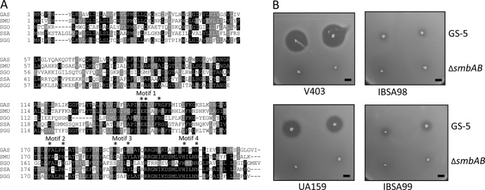 FIG 3