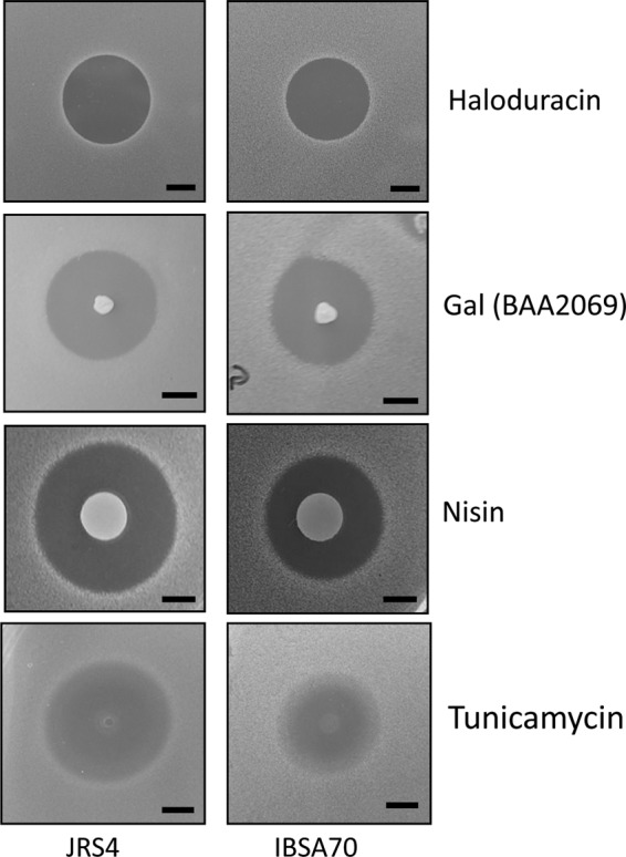 FIG 2