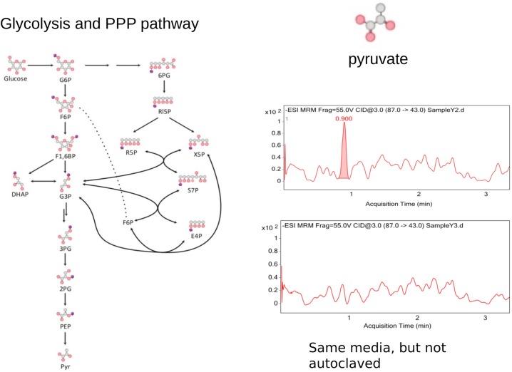 Figure 1.