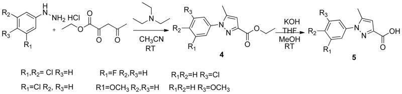 Scheme 2