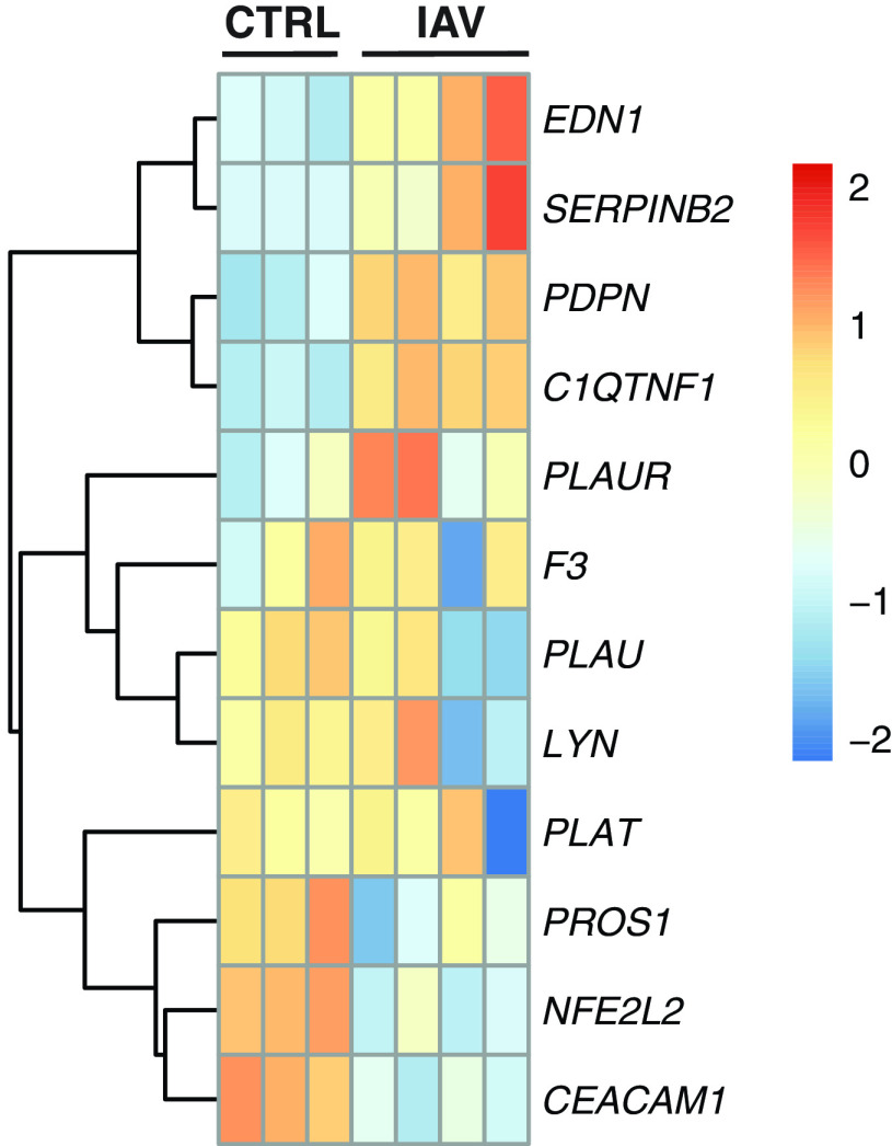 Figure 6.