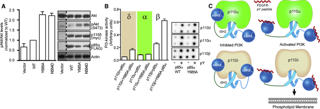 Figure 7