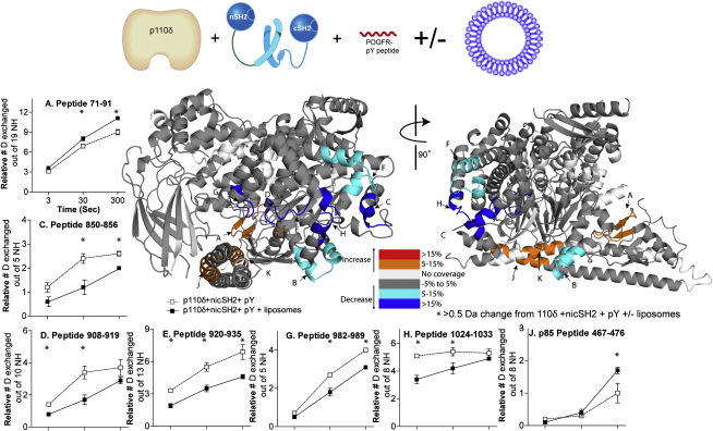 Figure 5