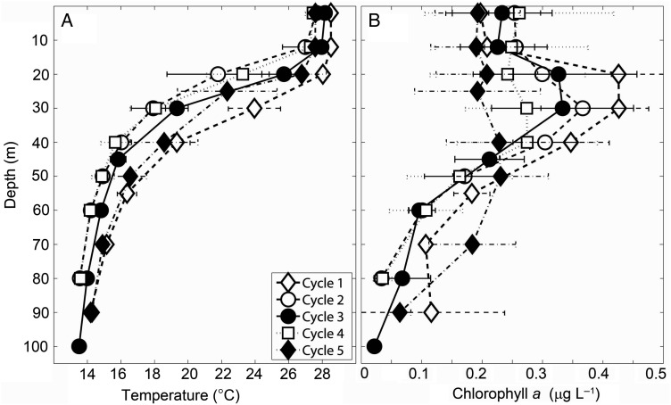 Fig. 2.