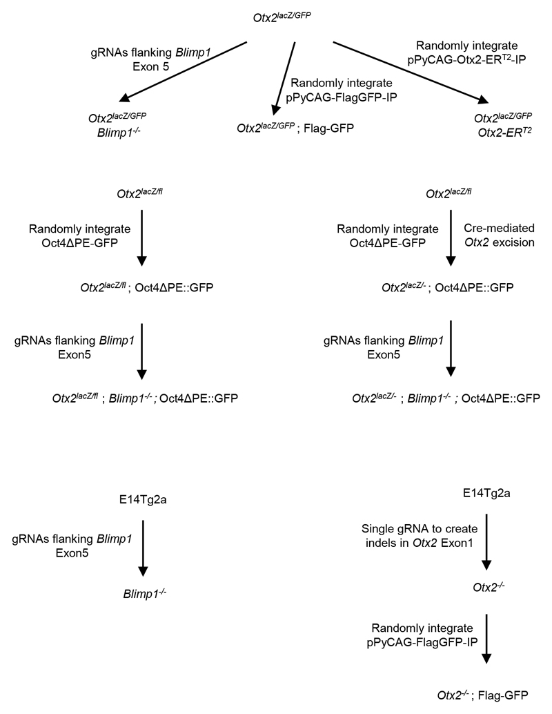 Extended Data Figure 1