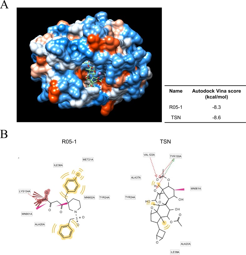 Figure 7