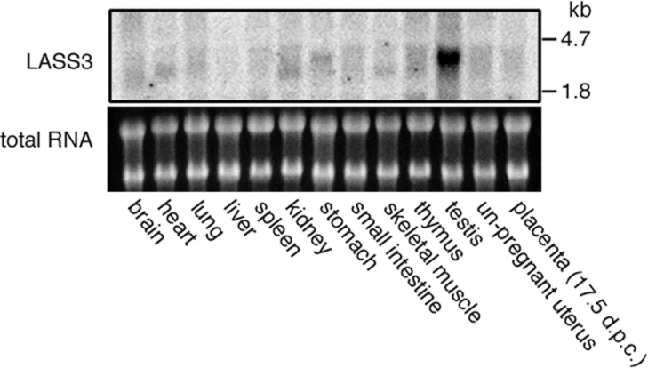 Figure 5