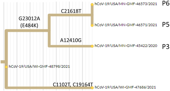 Fig 2