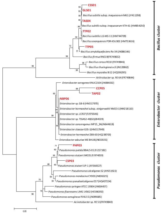 Figure 4