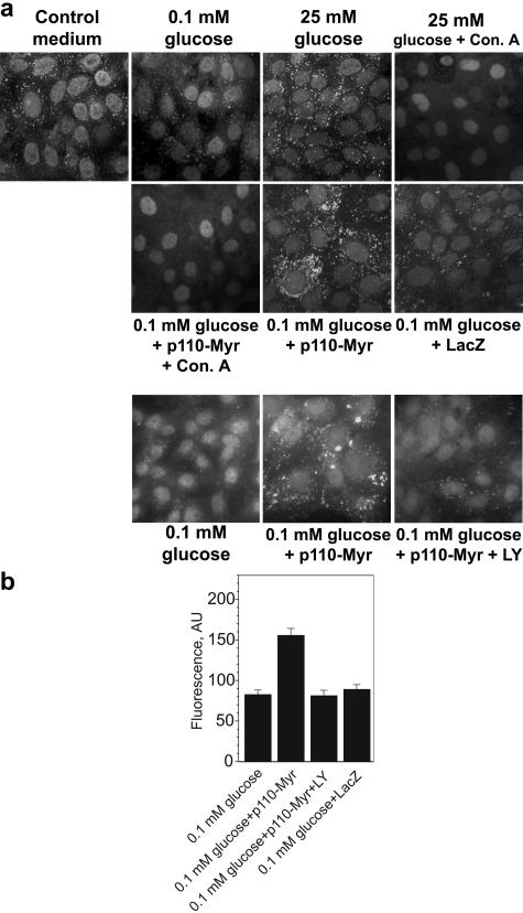 FIG. 6.