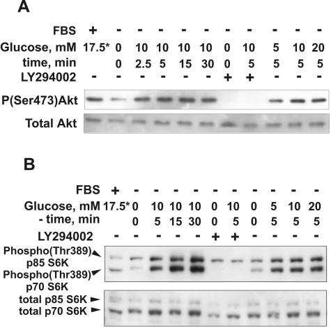 FIG. 10.