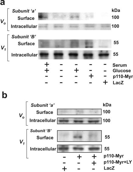 FIG. 8.