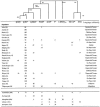 Figure  2