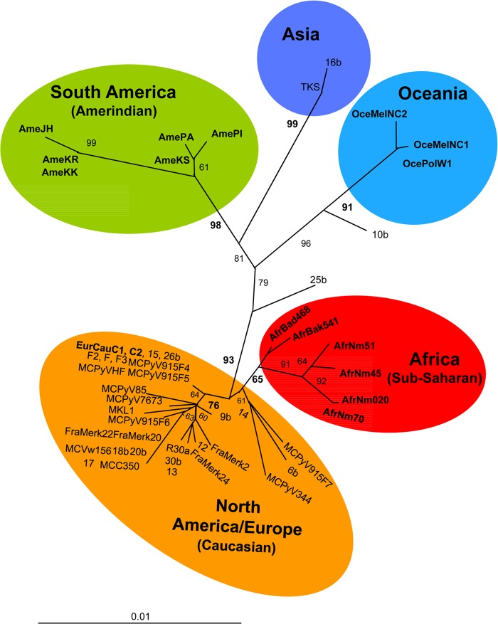 FIG 1