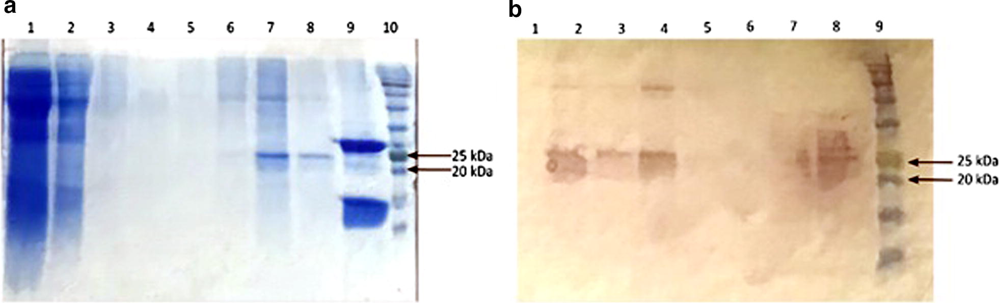 Fig. 3