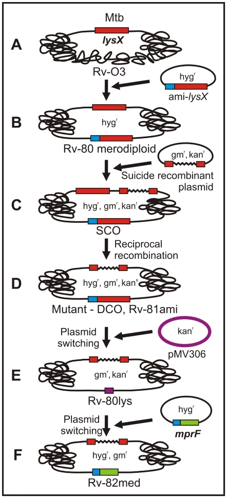 Figure 9