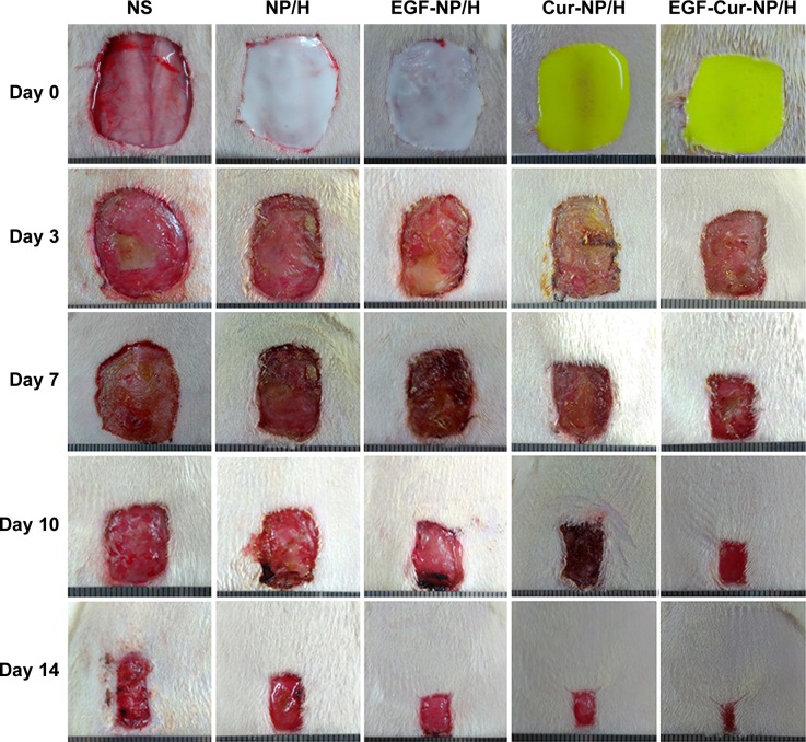 Figure 5