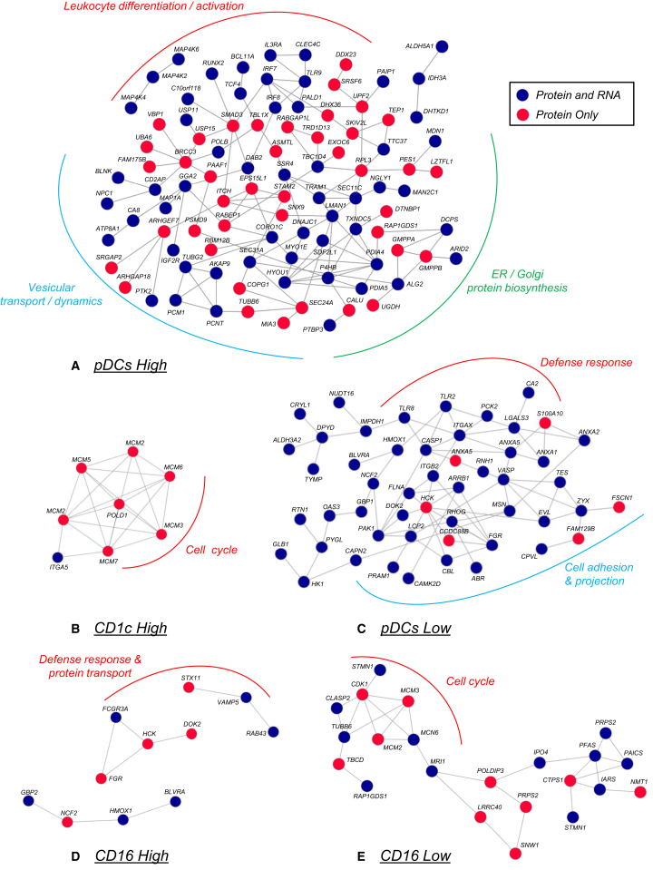 Figure 3