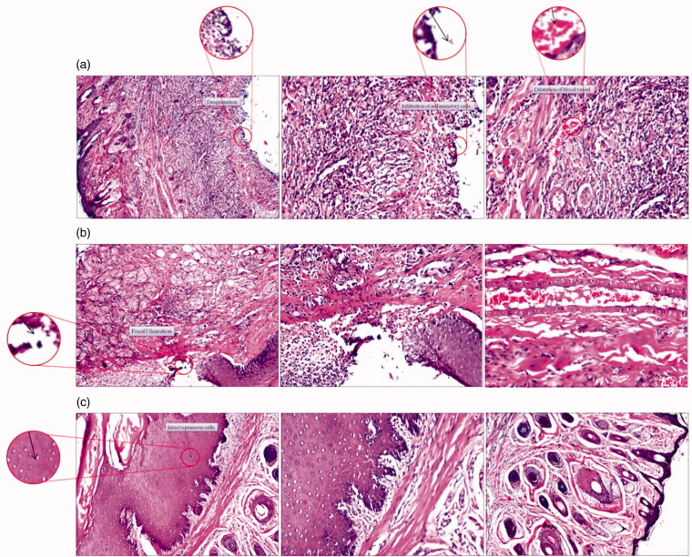 Figure 6.