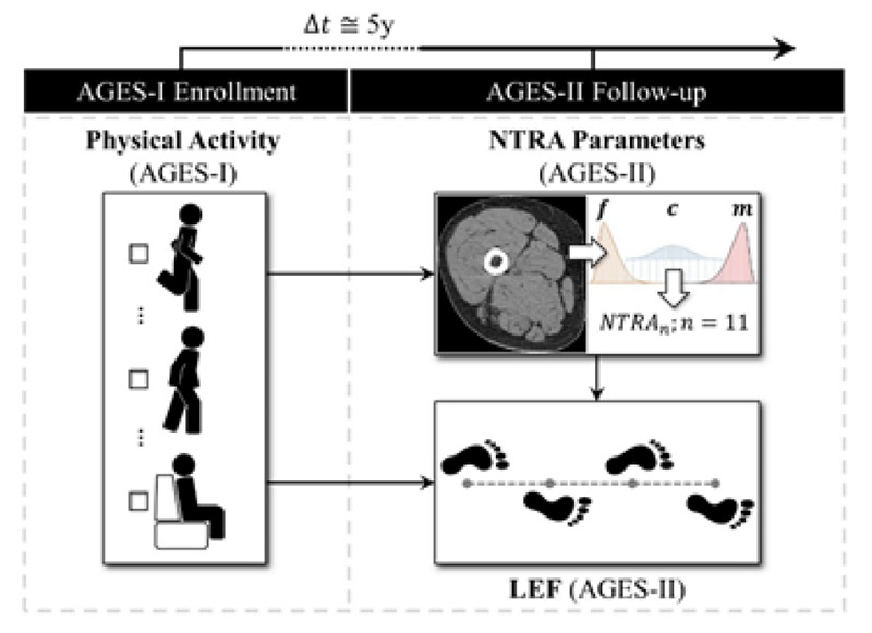 Fig 1.