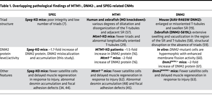 graphic file with name jciinsight-7-157336-g017.jpg